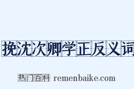 挽沈次卿学正反义词是什么意思的图片